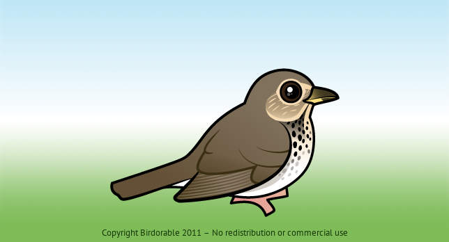 Birdorable Swainson's Thrush 
