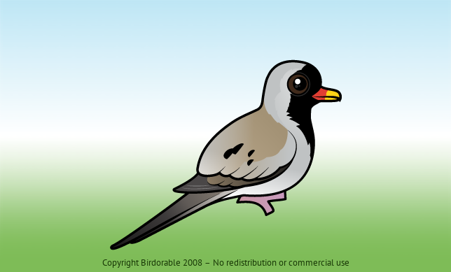 Birdorable Namaqua Dove 