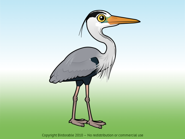 Birdorable Grey Heron 