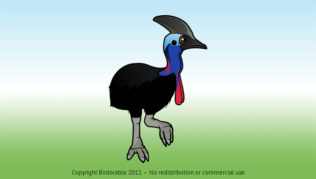 Birdorable Southern Cassowary 