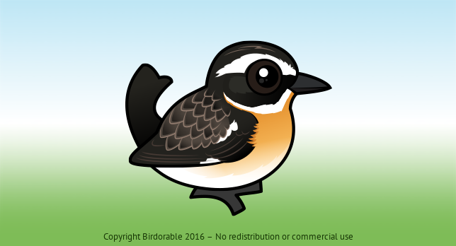 Birdorable Whinchat 