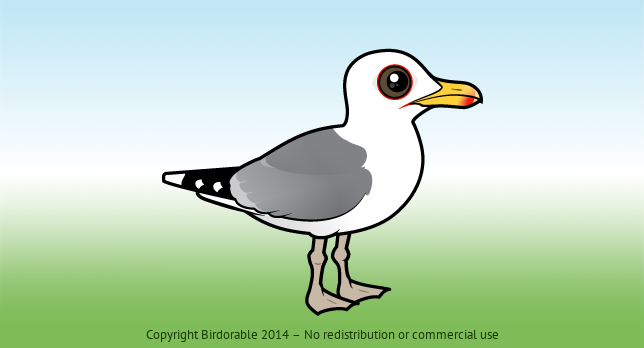 Birdorable Caspian Gull 