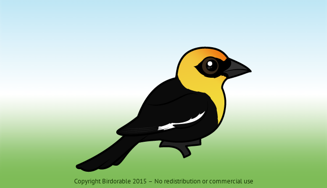 Birdorable Yellow-headed Blackbird 
