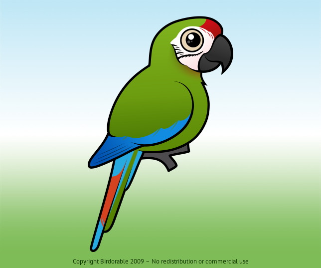 Birdorable Great Green Macaw 