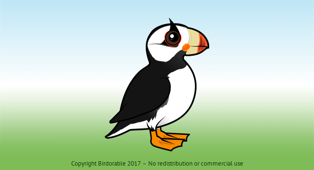 Birdorable Horned Puffin 