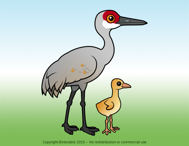 Birdorable Sandhill Crane 