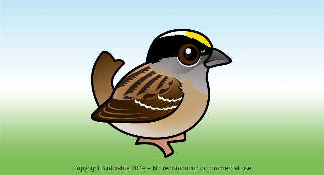 Birdorable Golden-crowned Sparrow 