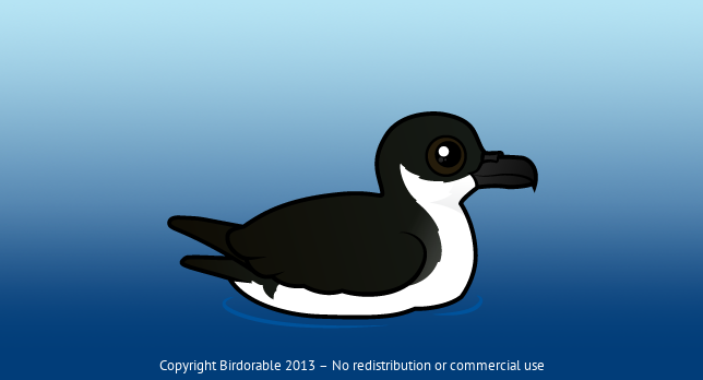 Birdorable Newell's Shearwater 