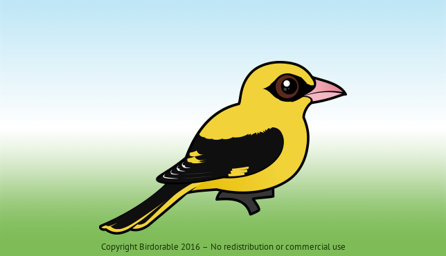 Birdorable Eurasian Golden Oriole 