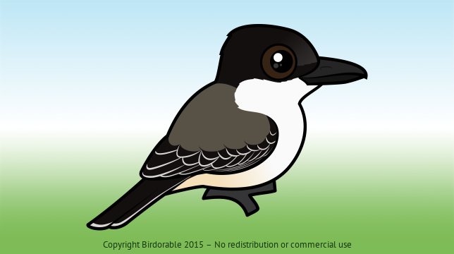 Birdorable Loggerhead Kingbird 