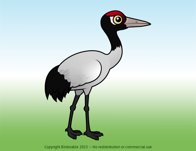 Birdorable Black-necked Crane 