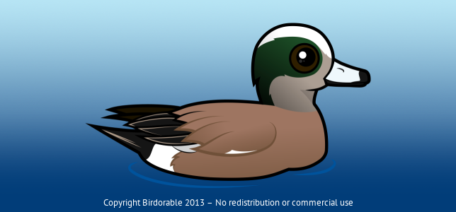 Birdorable American Wigeon 