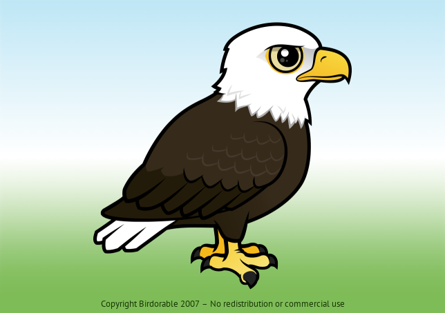 Birdorable Bald Eagle 