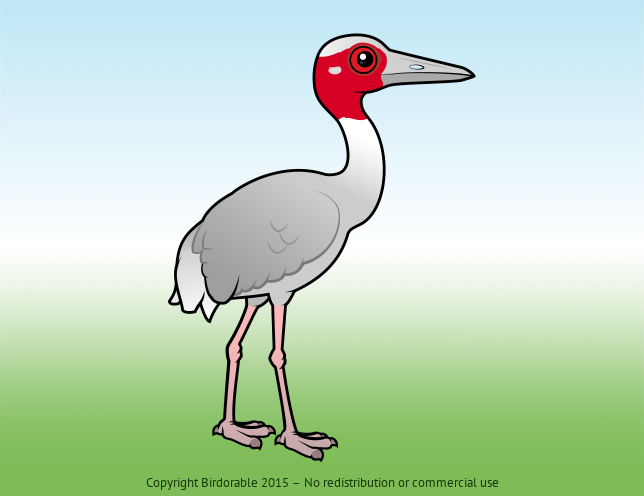 Birdorable Sarus Crane 