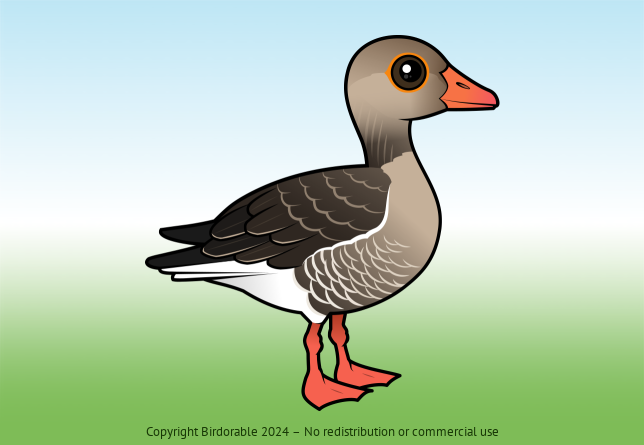 Birdorable Graylag Goose 