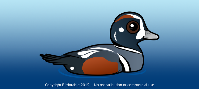 Birdorable Harlequin Duck 