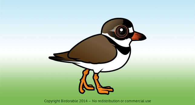 Birdorable Semipalmated Plover 