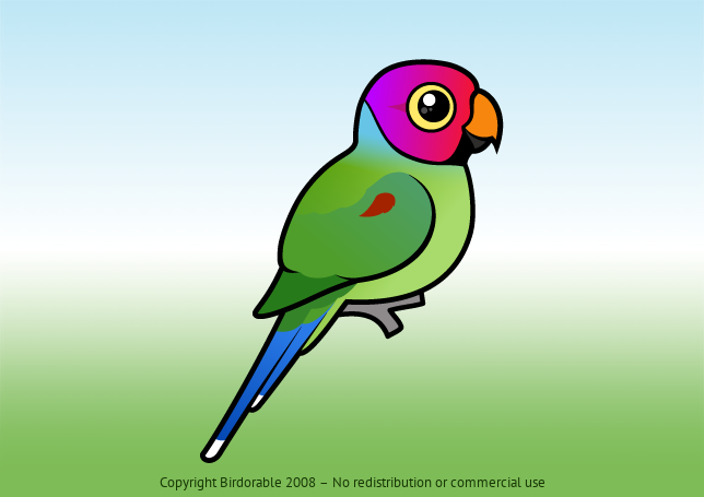 Birdorable Plum-headed Parakeet 