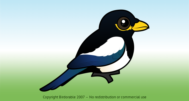 Birdorable Yellow-billed Magpie 