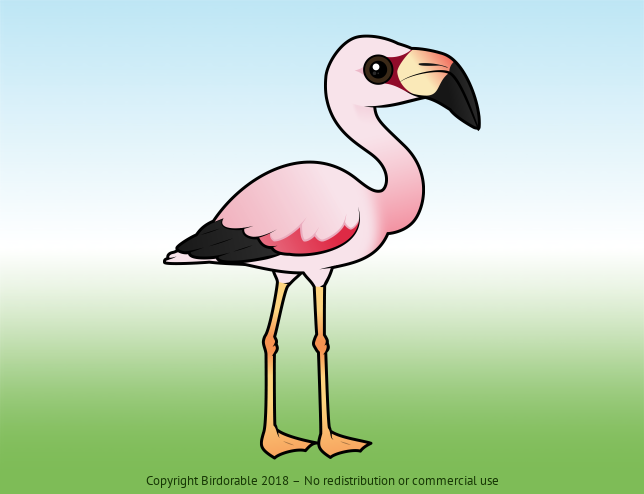 Birdorable Andean Flamingo 