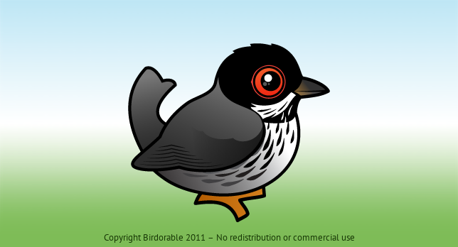 Birdorable Cyprus Warbler 