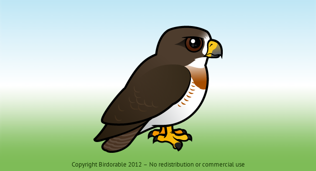 Birdorable Swainson's Hawk 