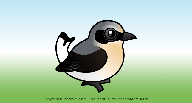 Birdorable Northern Wheatear 