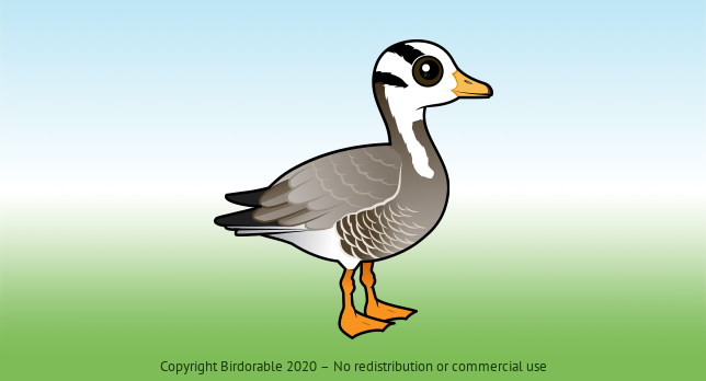 Birdorable Bar-headed Goose 