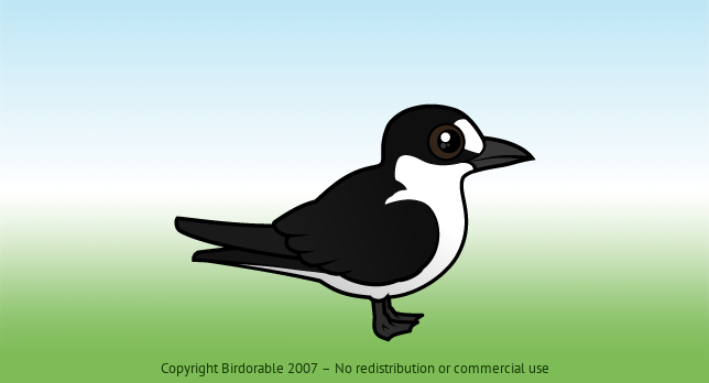 Birdorable Sooty Tern 
