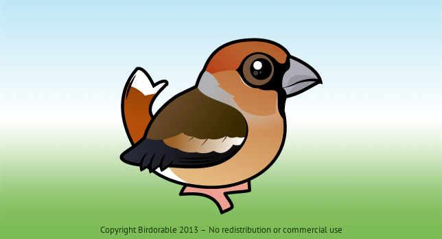 Birdorable Hawfinch 
