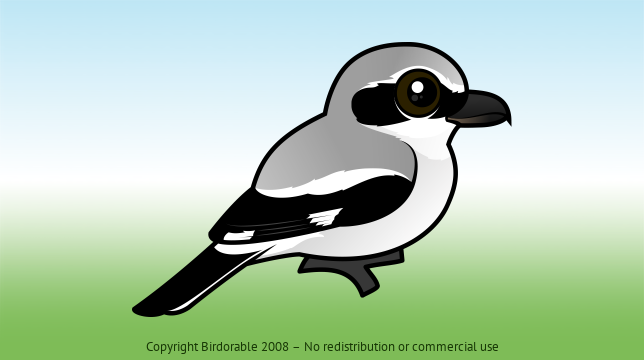 Birdorable Northern Shrike 