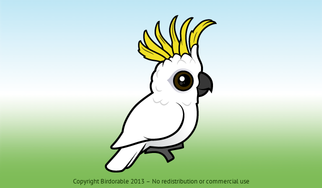 Birdorable Sulphur-crested Cockatoo 