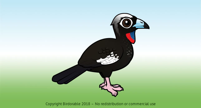 Birdorable Black-fronted Piping Guan 