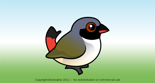 Birdorable Swee Waxbill 
