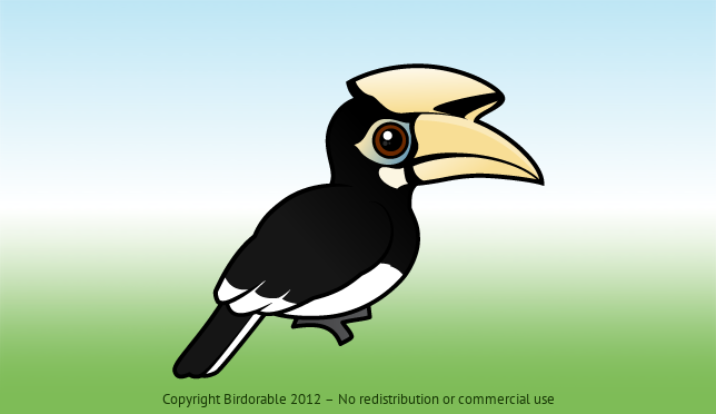Birdorable Oriental Pied Hornbill 