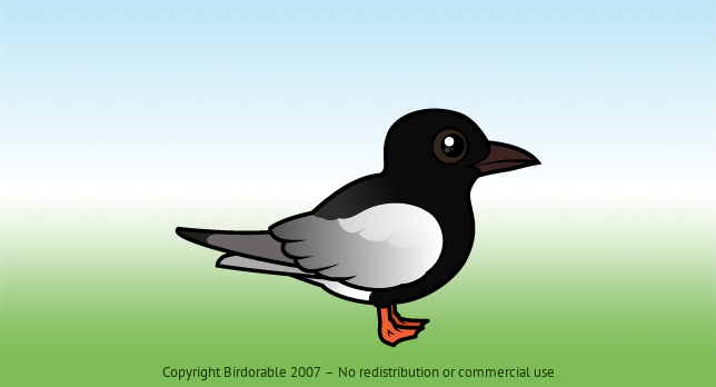Birdorable White-winged Tern 