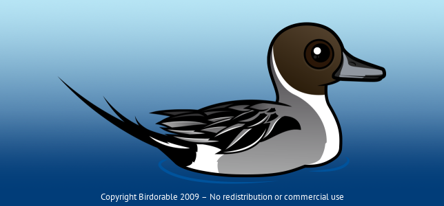 Birdorable Northern Pintail 