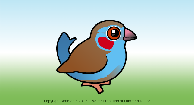 Birdorable Red-cheeked Cordonbleu 