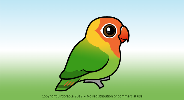 Birdorable Lilian's Lovebird 