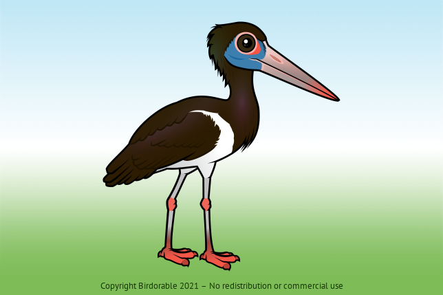 Birdorable Abdim's Stork 