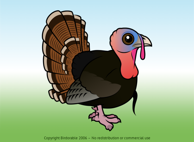 Birdorable Wild Turkey 