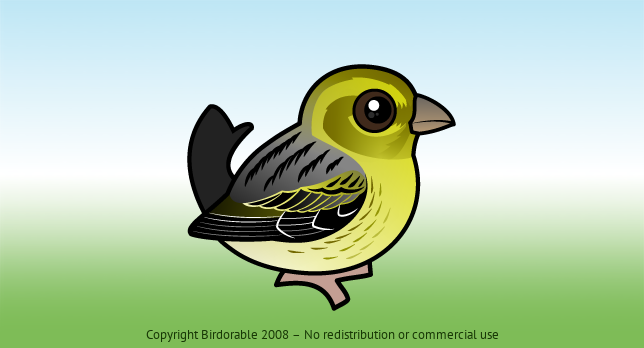 Birdorable Atlantic Canary 