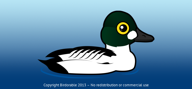 Birdorable Common Goldeneye 