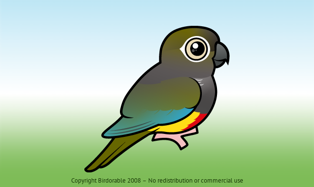 Birdorable Burrowing Parakeet 