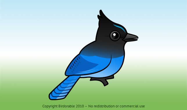 Birdorable Steller's Jay 