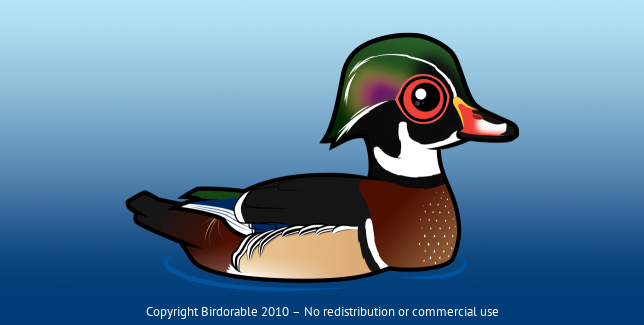 Birdorable Wood Duck 