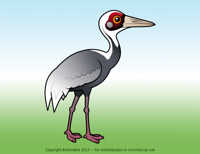 Birdorable White-naped Crane 