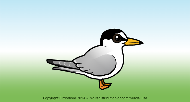 Birdorable Little Tern 