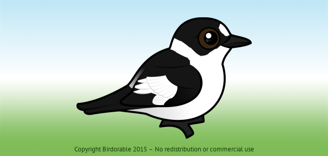 Birdorable Collared Flycatcher 