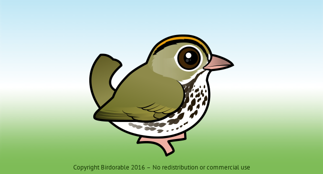 Birdorable Ovenbird 